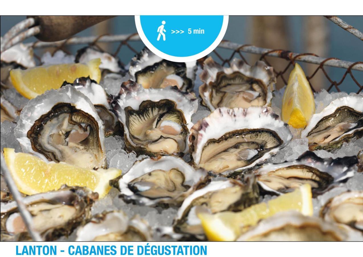 Nouveau ! Lanton Plage, 6 Voyageurs Eksteriør billede